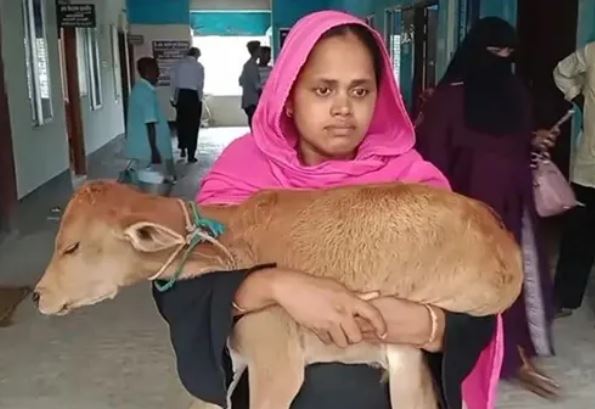 ঝালকাঠিতে দুধের গাভী নিয়ে গেছেন বিএনপি নেতা বাছুর কোলে নিয়ে আদালতে গেলেন আওয়ামী নেতার স্ত্রী