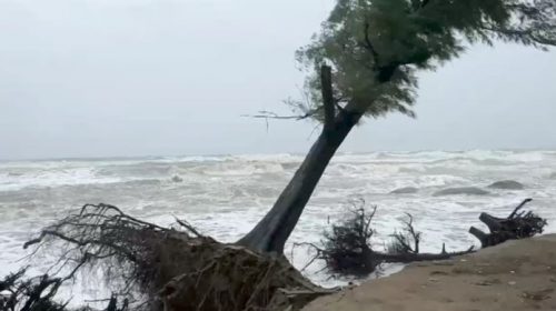 https://dailyvorerkhabor.com/