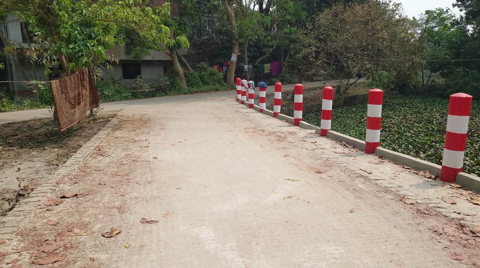 সাবেক উপদেষ্টার বাড়ির সামনে রাস্তা নির্মাণ নিয়ে বিতর্ক, সরেজমিনে ভিন্ন চিত্র