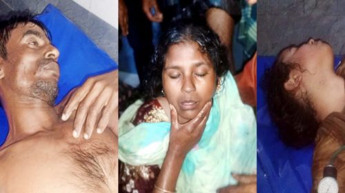 শৈলকুপায় বজ্রপাতে কৃষকসহ আহত ৩