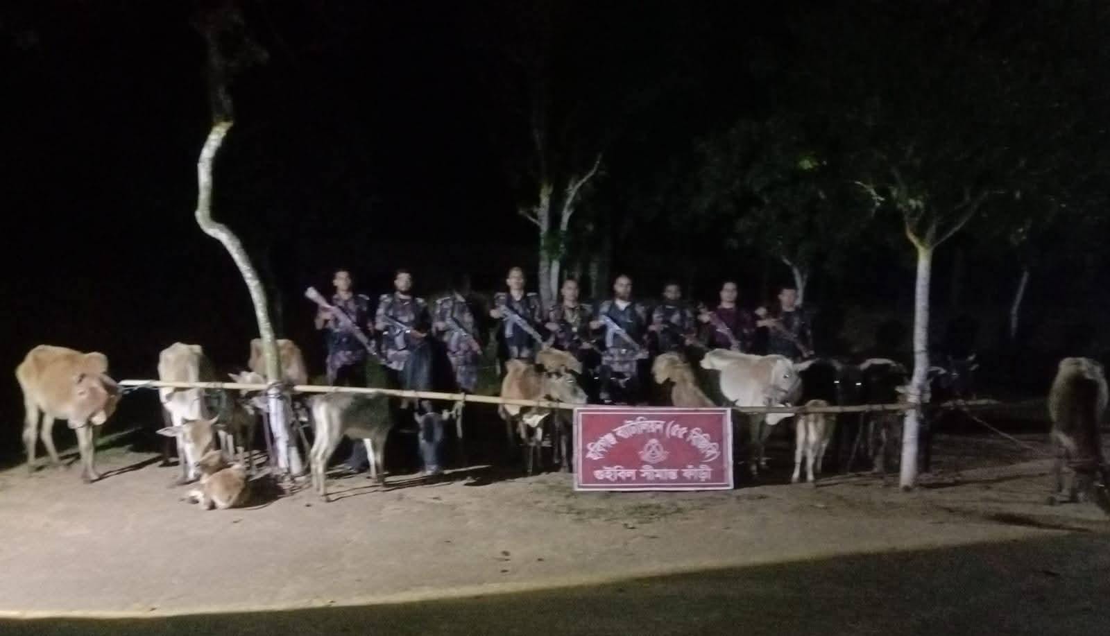 ‎হবিগঞ্জ সীমান্তে বিজিবির অভিযানে ২৪টি ভারতীয় গরু জব্দ