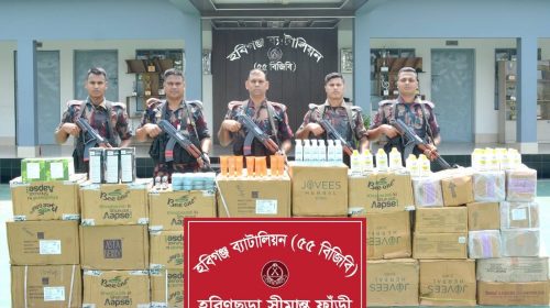 হবিগঞ্জে সীমান্তে বিজিবির অভিযানে ১ কোটি টাকার ভারতীয় পণ্য জব্দ
