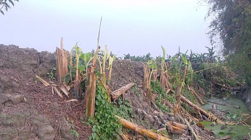 কিশোরগঞ্জে ফিসারি দখলের পাঁয়তারা, অপপ্রচারের অভিযোগ
