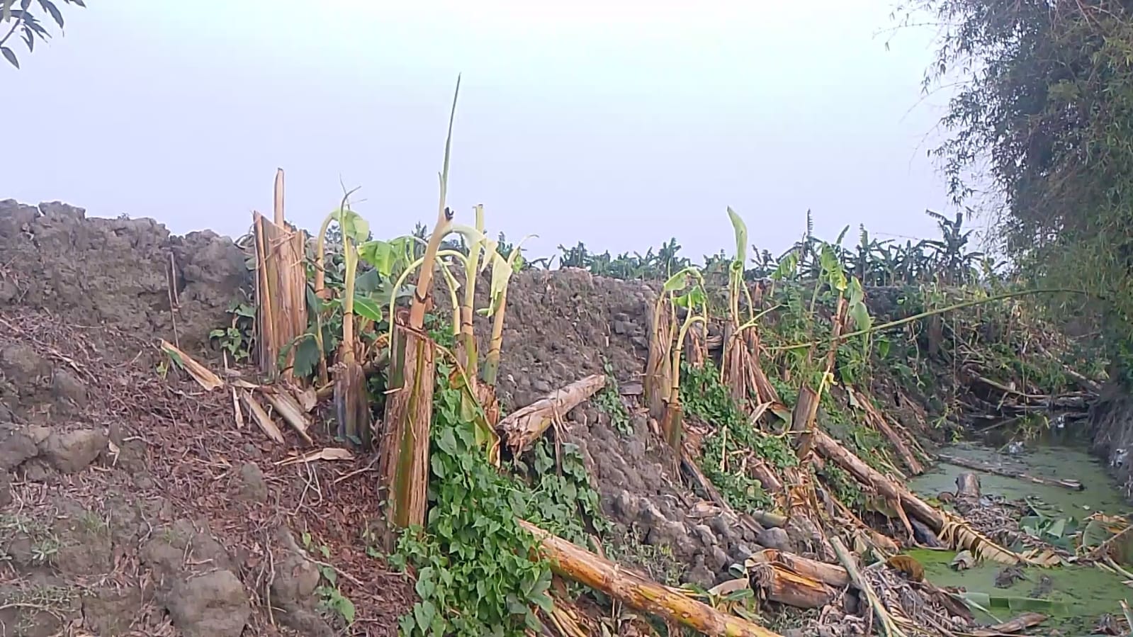 কিশোরগঞ্জে ফিসারি দখলের পাঁয়তারা, অপপ্রচারের অভিযোগ