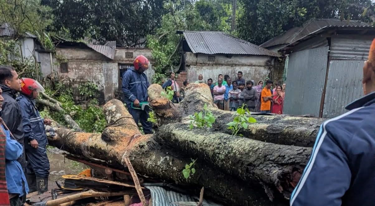 বগুড়ায় কালবৈশাখী ঝড়ে দোকানের ওপর গাছ পড়ে ব্যবসায়ীর মৃত্যু