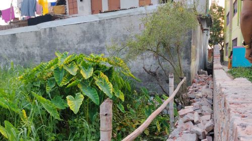 হেমায়েতপুরে জমি দখল চেষ্টার প্রতিবাদ করায় হুমকি: নিরাপত্তাহীনতায় নারী, থানায় অভিযোগ