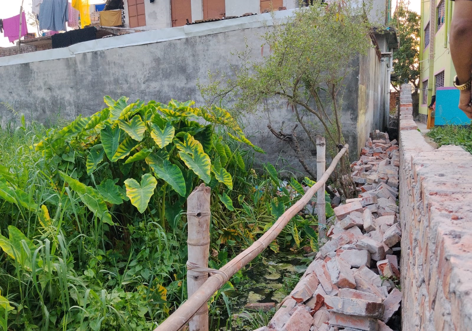 হেমায়েতপুরে জমি দখল চেষ্টার প্রতিবাদ করায় হুমকি: নিরাপত্তাহীনতায় নারী, থানায় অভিযোগ