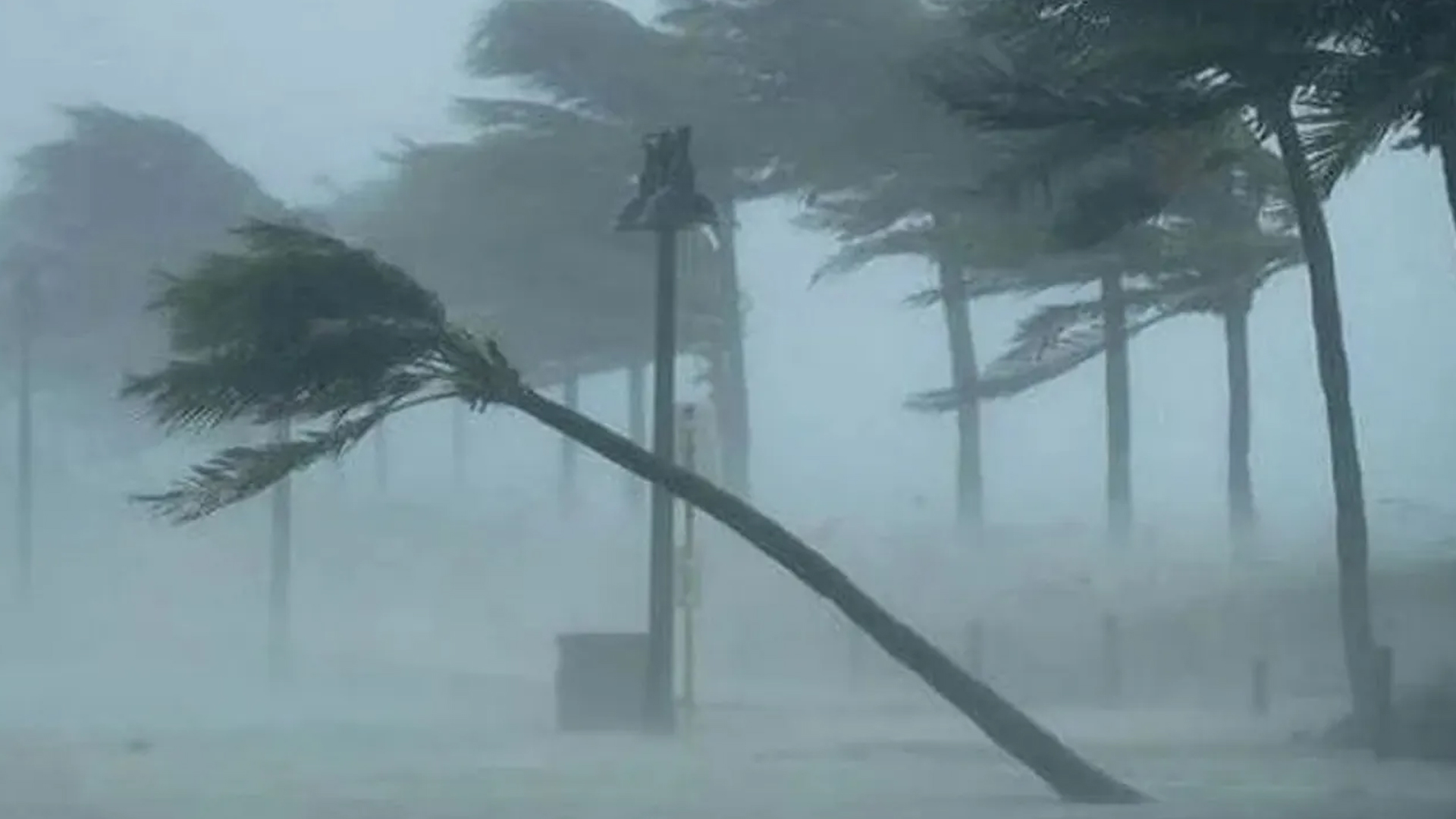 ঢাকাসহ দেশের পাঁচ অঞ্চলে ৬০ কিলোমিটার বেগে ঝড়ের পূর্বাভাস