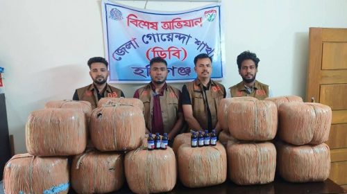 ‎মাধবপুরে ডিবি পুলিশের অভিযানে ১২৯ কেজি গাঁজা উদ্ধার, নারী গ্রেপ্তার