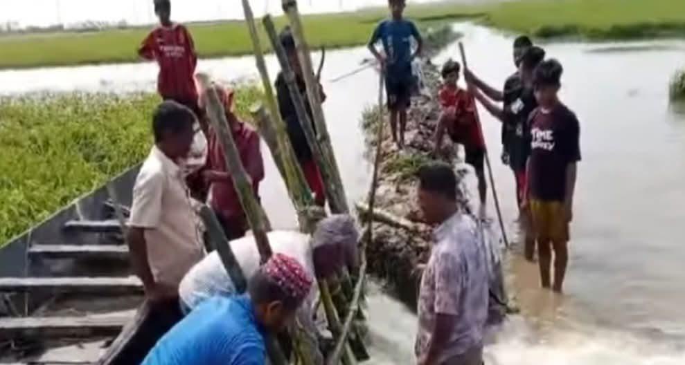 হবিগঞ্জে হাওড়ের বাঁধ ভেঙে বিপর্যয়ের শঙ্কা: পানিতে তলিয়ে যাচ্ছে বোরো ধান, ৩০০ একর প্লাবিত